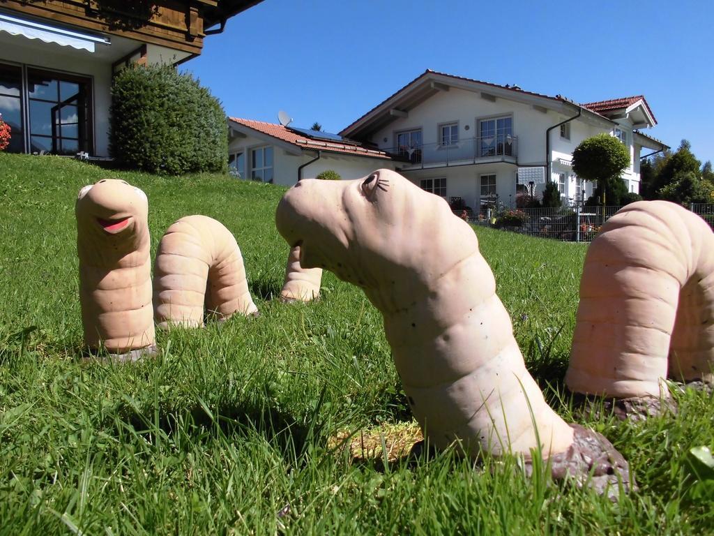 Appartamento Ferienhaus Koessel Pfronten Esterno foto
